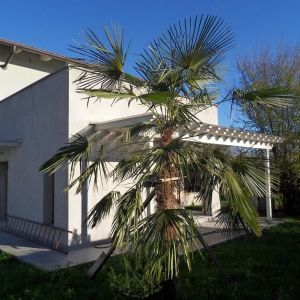 Villino Classe A+ Vigliano B.se